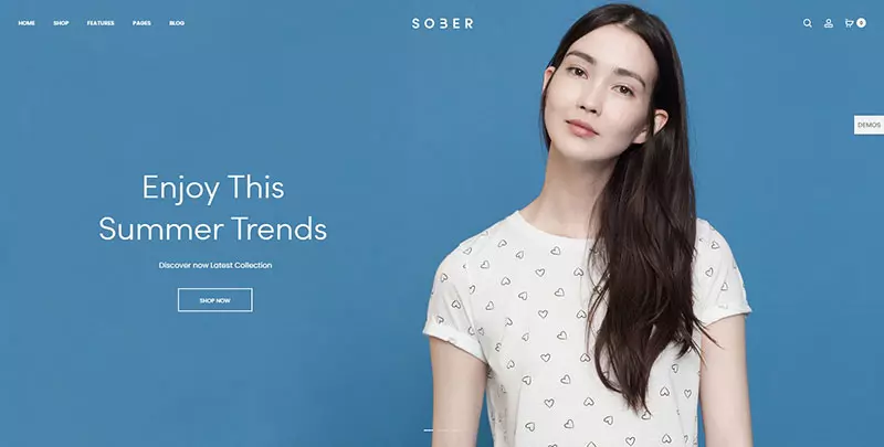 Theme Sober là mẫu website bán hàng wordpress đẹp, dễ dùng